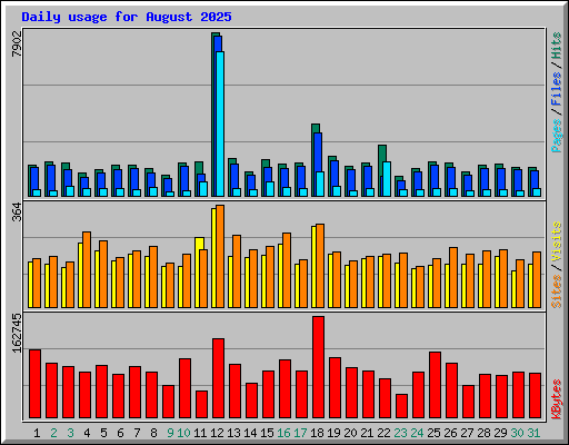 Daily usage for August 2025