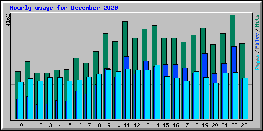 Hourly usage for December 2020