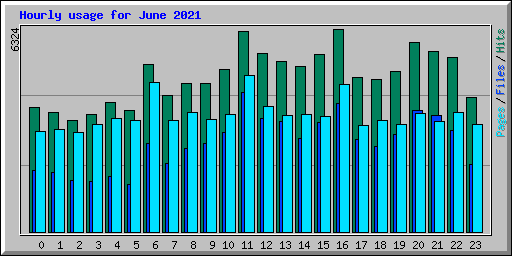 Hourly usage for June 2021