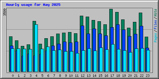 Hourly usage for May 2025