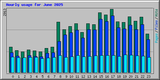 Hourly usage for June 2025
