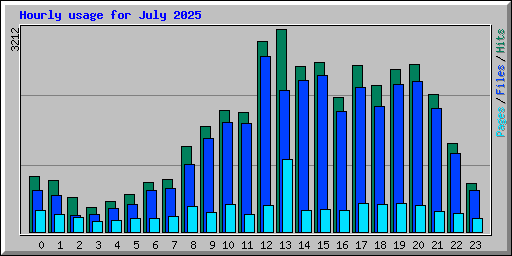 Hourly usage for July 2025