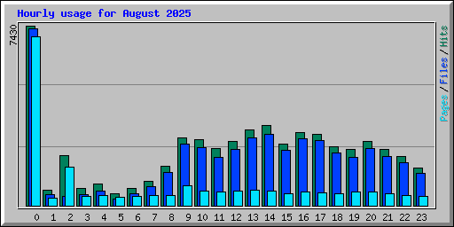 Hourly usage for August 2025