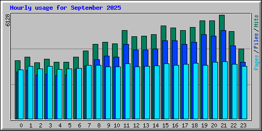 Hourly usage for September 2025