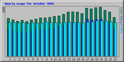 Hourly usage for October 2025