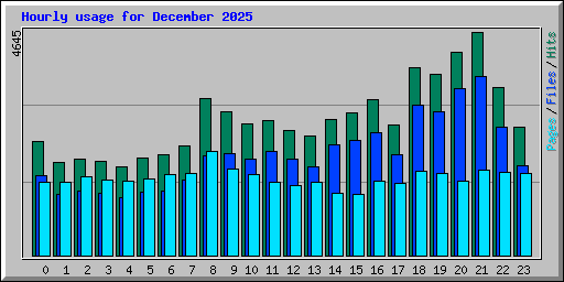Hourly usage for December 2025