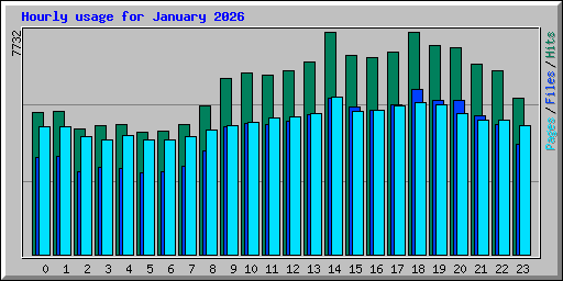 Hourly usage for January 2026