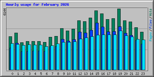 Hourly usage for February 2026