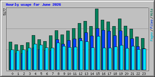 Hourly usage for June 2026